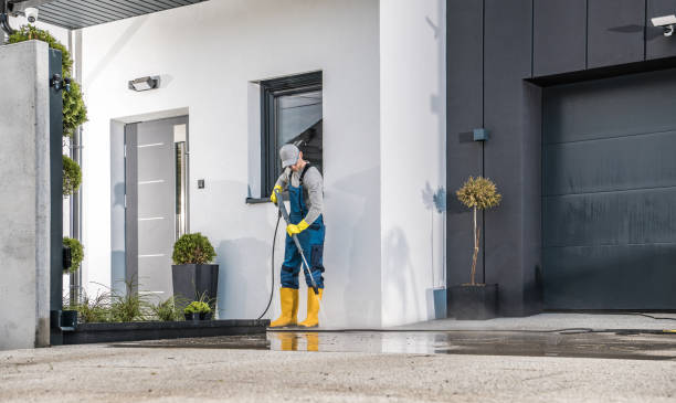Best Boat and Dock Cleaning  in Sparta, IL