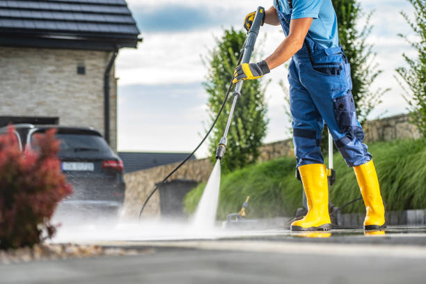Best Solar Panel Cleaning  in Sparta, IL